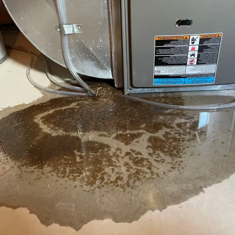Pipe Burst and Leak Restoration in Woodmont, CT