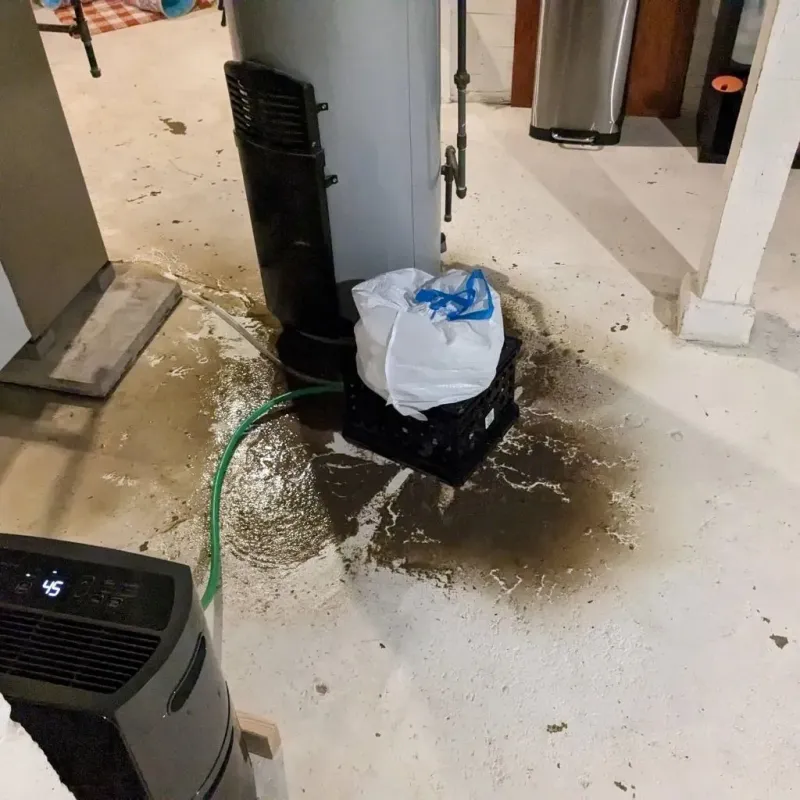 Sewage Backup Cleanup Service in Woodmont, CT